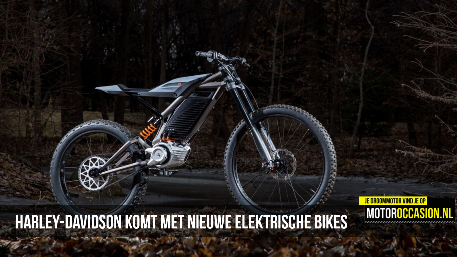 belangrijk Vervloekt paradijs Motoroccasion.nl, Harley-Davidson komt met nieuwe elektrische bikes -  17-01-2019